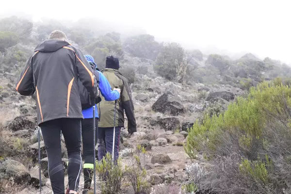 Climbers walking during the 5-day Kilimanjaro climbing tour via the Marangu route