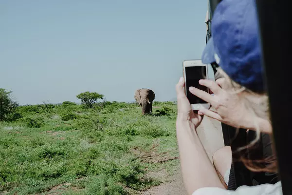 Tourist capturing an elephant during the 5-day Tanzania safari tour package in Serengeti National Park