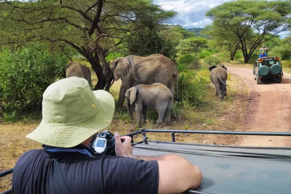 African Photo Safari Cost in Tanzania National Parks