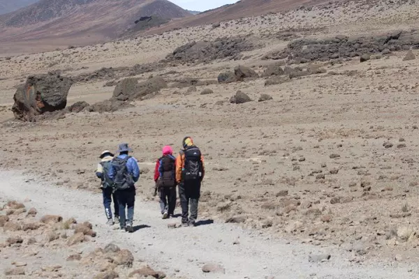 Kilimanjaro Climbing Marangu Route, Distance, And Success Rates