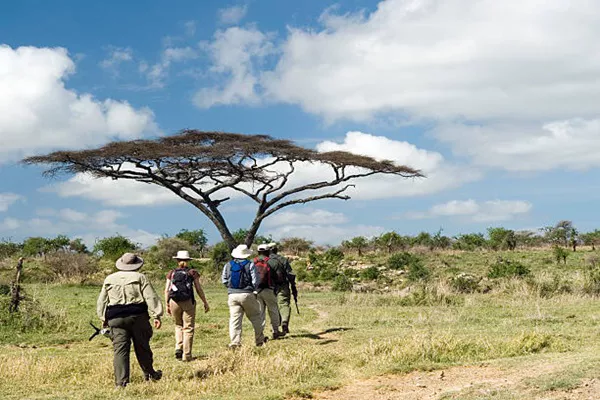 Understand The Average Cost of Tanzania Safari Tours